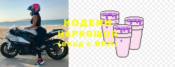 молекула духа Приозерск
